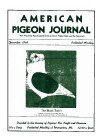 Magazine Cover